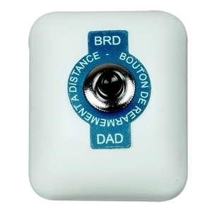 DADBRD